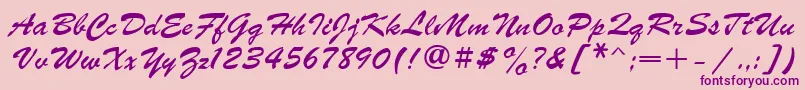 ParsekCyrillic Font – Purple Fonts on Pink Background