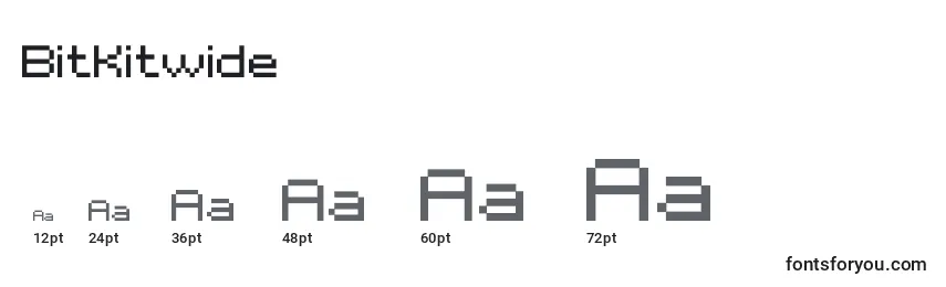 BitKitwide Font Sizes