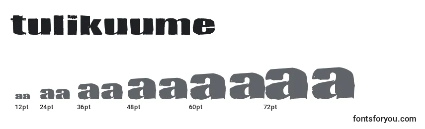 Размеры шрифта Tulikuume