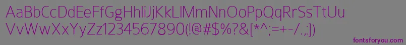 HoxtonLight Font – Purple Fonts on Gray Background