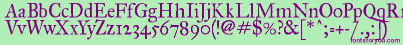 Fegprm2 Font – Purple Fonts on Green Background