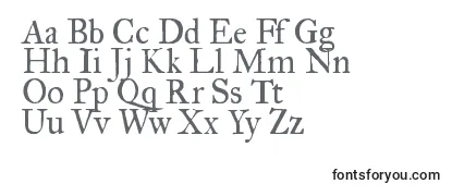 Обзор шрифта Fegprm2