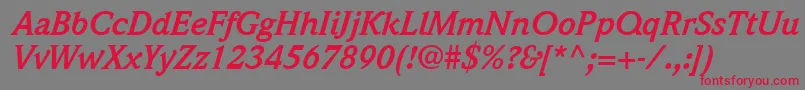 QuintessenceSsiBoldItalic Font – Red Fonts on Gray Background