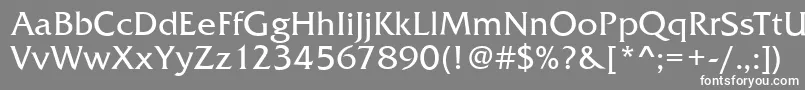 フォントFremontRegular – 灰色の背景に白い文字