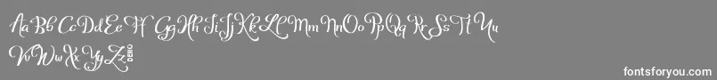 フォントWelgaDemo – 灰色の背景に白い文字