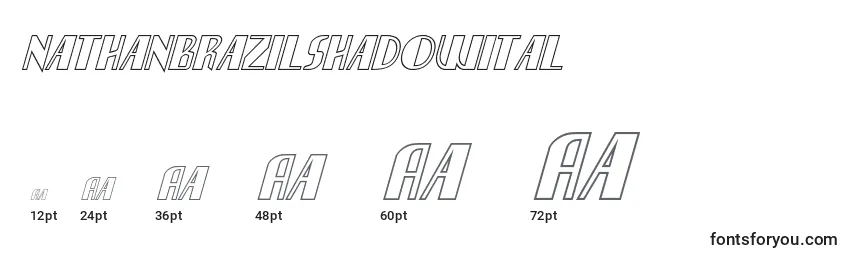 Nathanbrazilshadowital Font Sizes