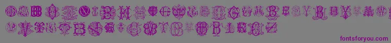 IntellectaMonogramsRandomSamplesEleven Font – Purple Fonts on Gray Background