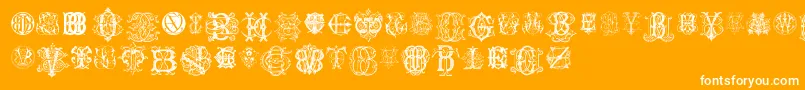 IntellectaMonogramsRandomSamplesEleven Font – White Fonts on Orange Background