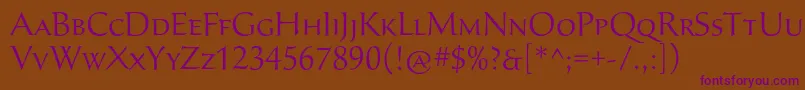 SavaproLight Font – Purple Fonts on Brown Background