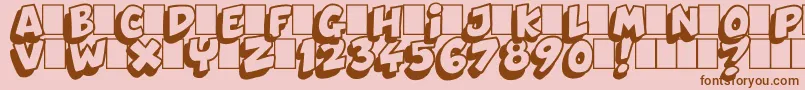 Dynamix Font – Brown Fonts on Pink Background
