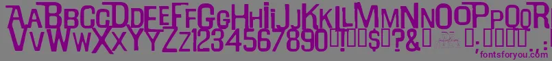 Willrobinson Font – Purple Fonts on Gray Background