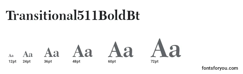 Transitional511BoldBt Font Sizes