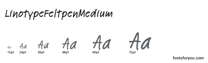 Größen der Schriftart LinotypeFeltpenMedium
