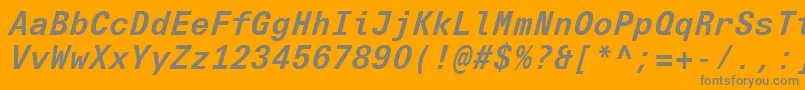 フォントUniversNextTypewriterProBoldItalic – オレンジの背景に灰色の文字