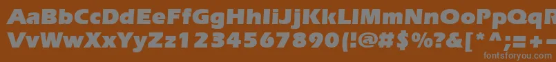 Everestultra-fontti – harmaat kirjasimet ruskealla taustalla
