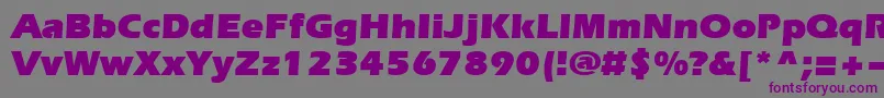 Everestultra Font – Purple Fonts on Gray Background