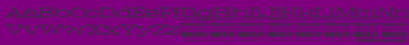 PigeonlightPersonal Font – Black Fonts on Purple Background