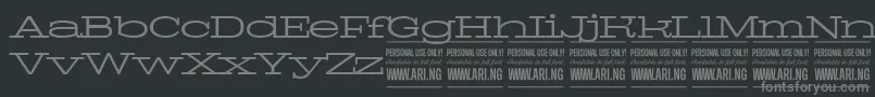 Police PigeonlightPersonal – polices grises sur fond noir