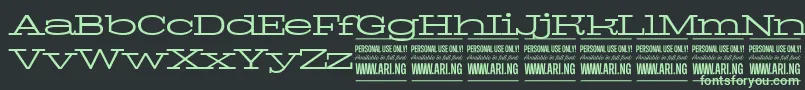 PigeonlightPersonal Font – Green Fonts on Black Background