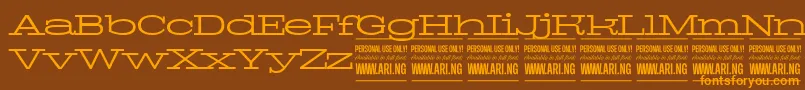 PigeonlightPersonal-Schriftart – Orangefarbene Schriften auf braunem Hintergrund