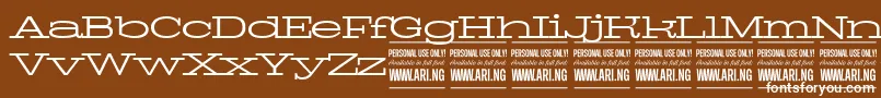 フォントPigeonlightPersonal – 茶色の背景に白い文字