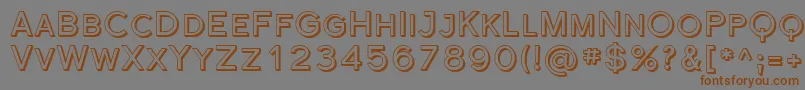 Sfflorencesansscshaded Font – Brown Fonts on Gray Background
