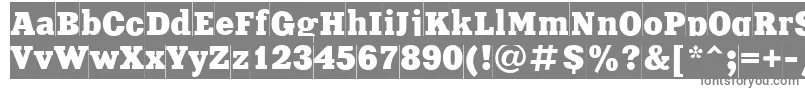 フォントXnc85C – 白い背景に灰色の文字