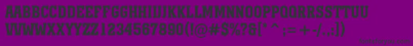 AMonumentotitulnrBold Font – Black Fonts on Purple Background