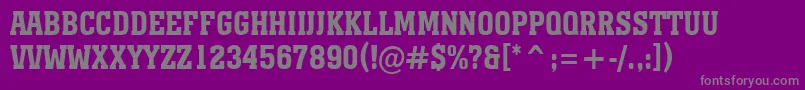 AMonumentotitulnrBold Font – Gray Fonts on Purple Background