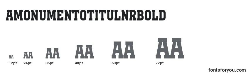 Размеры шрифта AMonumentotitulnrBold