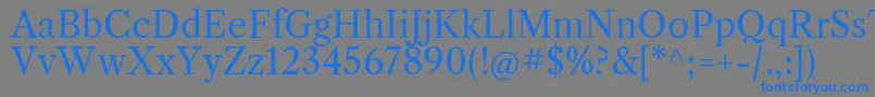 フォントLibrecaslontextRegular – 灰色の背景に青い文字