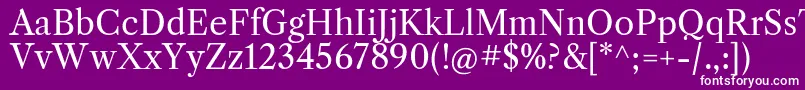 LibrecaslontextRegular Font – White Fonts on Purple Background