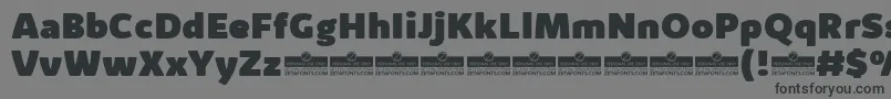 フォントKabrioAlternateHeavyTrial – 黒い文字の灰色の背景