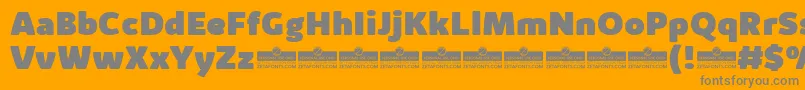 KabrioAlternateHeavyTrial Font – Gray Fonts on Orange Background