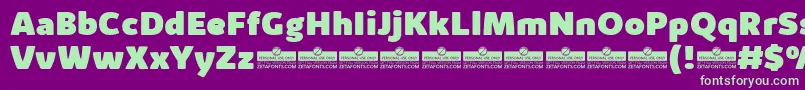 KabrioAlternateHeavyTrial Font – Green Fonts on Purple Background