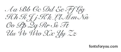 R791ScriptBold Font