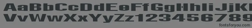 フォントLightsRegular – 黒い文字の灰色の背景
