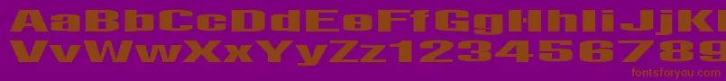 LightsRegular Font – Brown Fonts on Purple Background