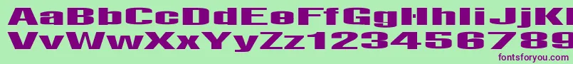 LightsRegular Font – Purple Fonts on Green Background