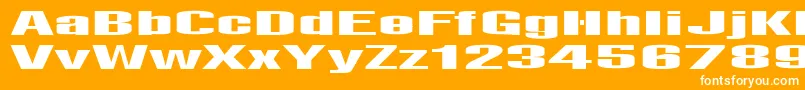 LightsRegular-Schriftart – Weiße Schriften auf orangefarbenem Hintergrund