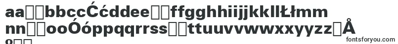 Шрифт ZurichBlackBt – польские шрифты