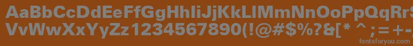 ZurichBlackBt Font – Gray Fonts on Brown Background