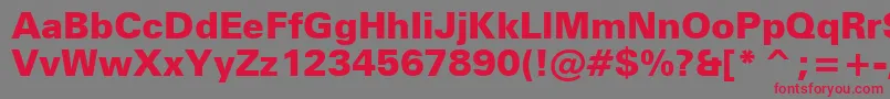 ZurichBlackBt Font – Red Fonts on Gray Background