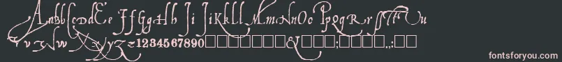 Ludovicos Font – Pink Fonts on Black Background