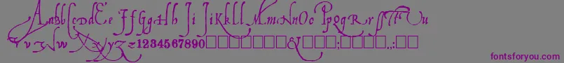 フォントLudovicos – 紫色のフォント、灰色の背景