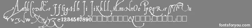 フォントLudovicos – 灰色の背景に白い文字