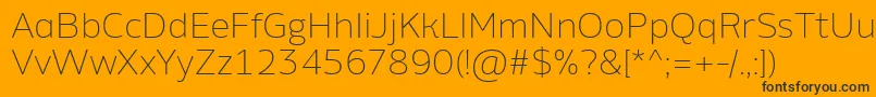 AminoAltExtralight Font – Black Fonts on Orange Background