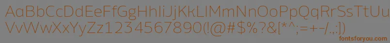 AminoAltExtralight-Schriftart – Braune Schriften auf grauem Hintergrund