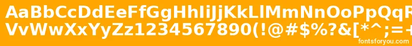 フォントPrimaSansBoldBt – オレンジの背景に白い文字