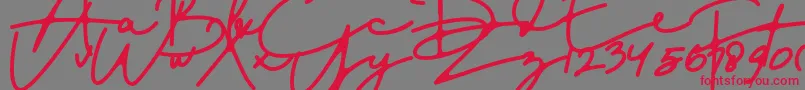 DreamOnly Font – Red Fonts on Gray Background